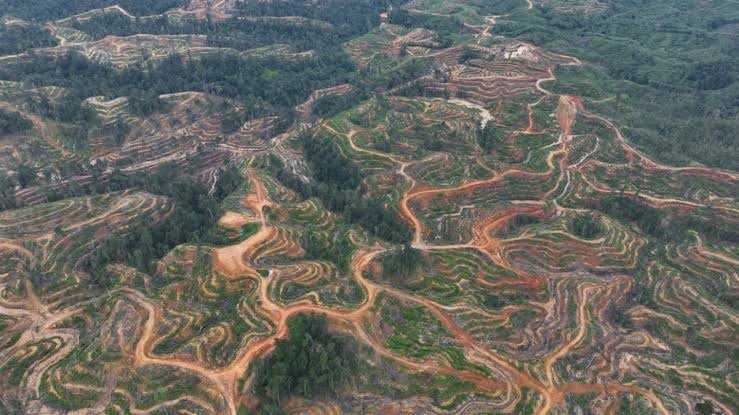 Mengaku Komitmen Tindak Perusahaan Nakal, HSB Tantang Walikota Subulussalam Stop PT. SPT