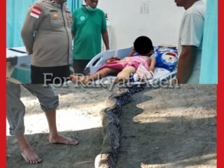 Breaking news: Seorang Anak di Nagan Raya Diserang Ular, Beruntung Polisi dan Warga Sigap Upaya Penyelamatan