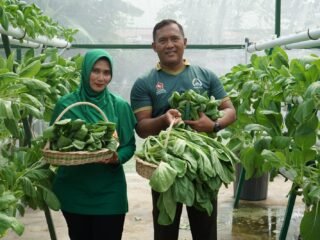 Dandim Abdya Manfaatkan Pekarangan Rumdis jadi Sentra Produksi Pertanian dan Pangan