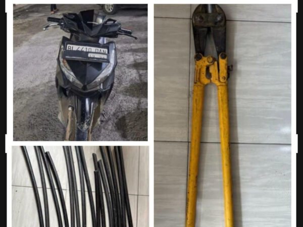 Dua Pelaku Pencurian Kabel di Linge Diamankan Polisi