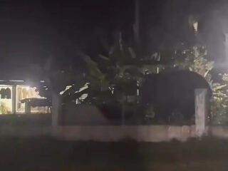 Dua Kelompok Gajah Berkeliaran di Negeri Antara - Satu Sempat Masuk Pekarangan