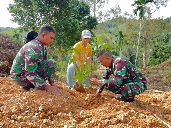 Satgas TMMD Tanam 200 Bibit Mahoni di Desa Jeumpa Sikureung