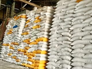 Pemilik Kilang Padi Menjerit, Bulog Diduga Tak Serap Beras Abdya