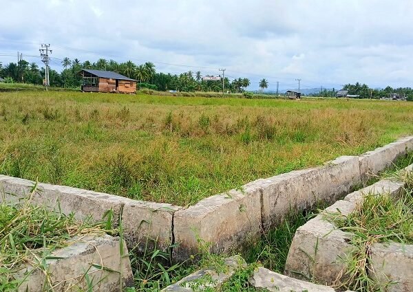 Rp380 Miliar Dialokasikan untuk Pemulihan Lahan Pertanian