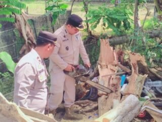 Forkopincam Jeumpa Bantu Bersihkan Rumah Warga Yang Tertimpa Pohon