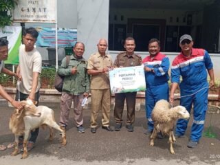 Idul Adha 1447 H, Pertagas Tebar 475 Hewan Kurban di 11 Provinsi
