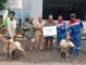 Idul Adha 1447 H, Pertagas Tebar 475 Hewan Kurban di 11 Provinsi