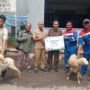 Idul Adha 1447 H, Pertagas Tebar 475 Hewan Kurban di 11 Provinsi