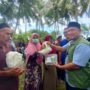 Islamic Relief Indonesia dan Baitul Mal Salurkan 28 Sapi Kurban untuk Ribuan Warga Lhokseumawe 