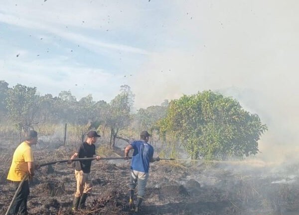 Karhutla Melanda Dua Kabupaten di Aceh