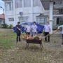Disaksikan Instansi Lain, Kejaksaan Negeri Nagan Raya Musnahkan Barang Bukti yang Sudah Inkracht