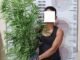 Polres Bener Meriah Tangkap Pria Penanam Ganja di Kebun
