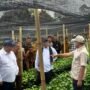 Mentan Janji Dukung Pengembangan Pertanian dan Kopi Gayo