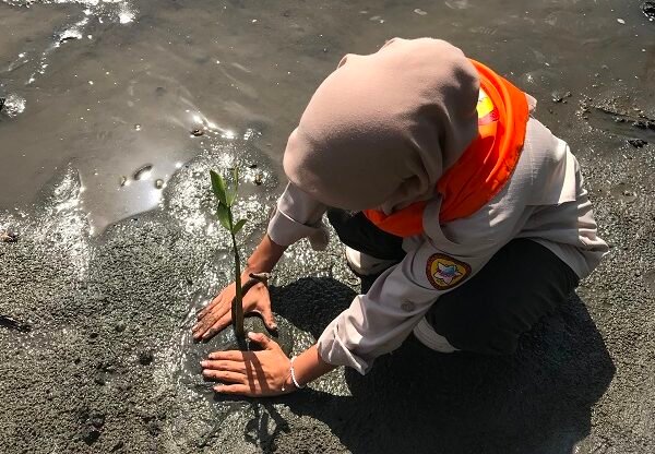 UKM PA Leuser USK Dukung Gerakan Peduli Lingkungan, Tanam 1.000 Mangrove