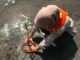 UKM PA Leuser USK Dukung Gerakan Peduli Lingkungan, Tanam 1.000 Mangrove