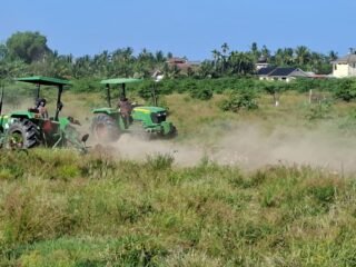 Lahan Sawah Tertimbun Lumpur jadi Sentra Pengembangan Jagung di Pidie