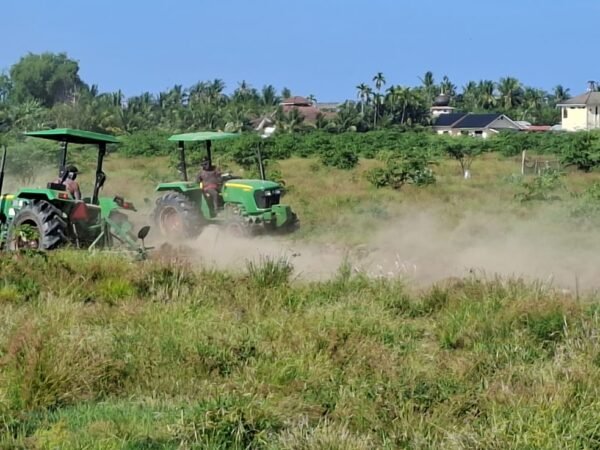 Lahan Sawah Tertimbun Lumpur jadi Sentra Pengembangan Jagung di Pidie