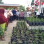 Camat Darul Imarah Serahkan Bibit Cabai Program Gerakan Ketahanan Pangan Keluarga Leu Ue
