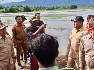 Bupati Abdya Tinjau Langsung Drainase Tersumbat