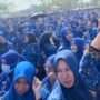 8.094 PPPK Paruh Waktu Aceh Utara Menanti Kepastian 2027, Beban Anggaran Bisa Tembus Rp188 Miliar per Tahun