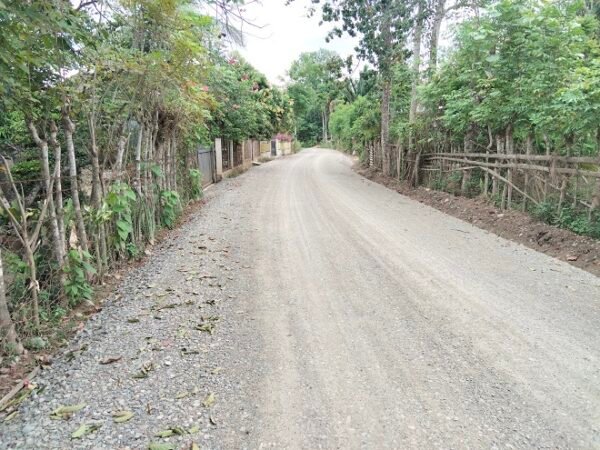 Warga Mengeluh, Jalan Tak Pernah Disiram
