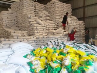 Aceh Surplus Beras 300 Ribu Ton per Tahun