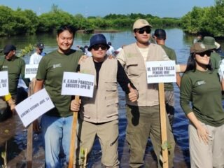 Ilham Pangestu Tanam Mangrove di Langsa
